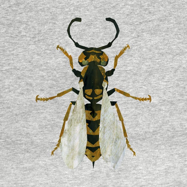 Wasp by Babban Gaelg